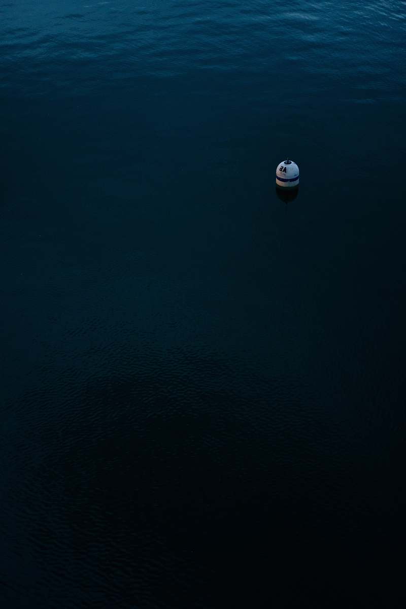 united states white toy floating on body of water lake michigan